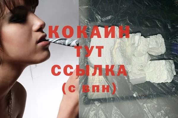 spice Козельск