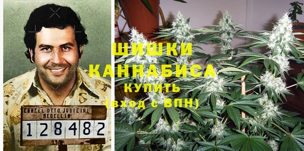 spice Козельск