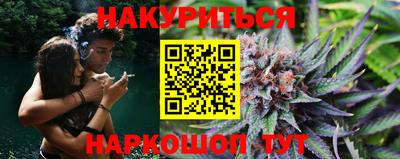 тгк Гай