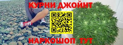 тгк Гай