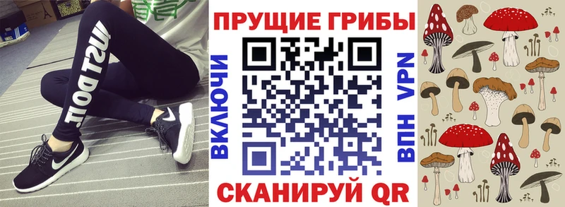 что такое наркотик Бийск Псилоцибиновые грибы ЛСД
