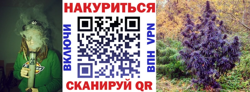 Конопля конопля  как найти закладки  Бийск 
